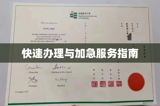 东兴快速办理与加急服务指南