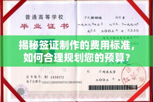 东兴揭秘签证制作的费用标准，如何合理规划您的预算？
