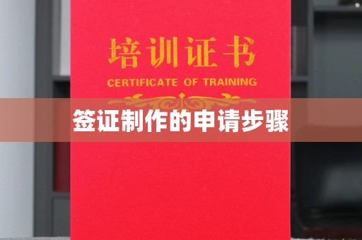 东兴签证制作的申请步骤