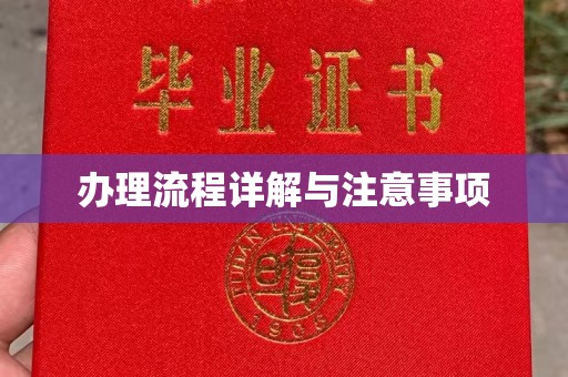 东兴办理流程详解与注意事项